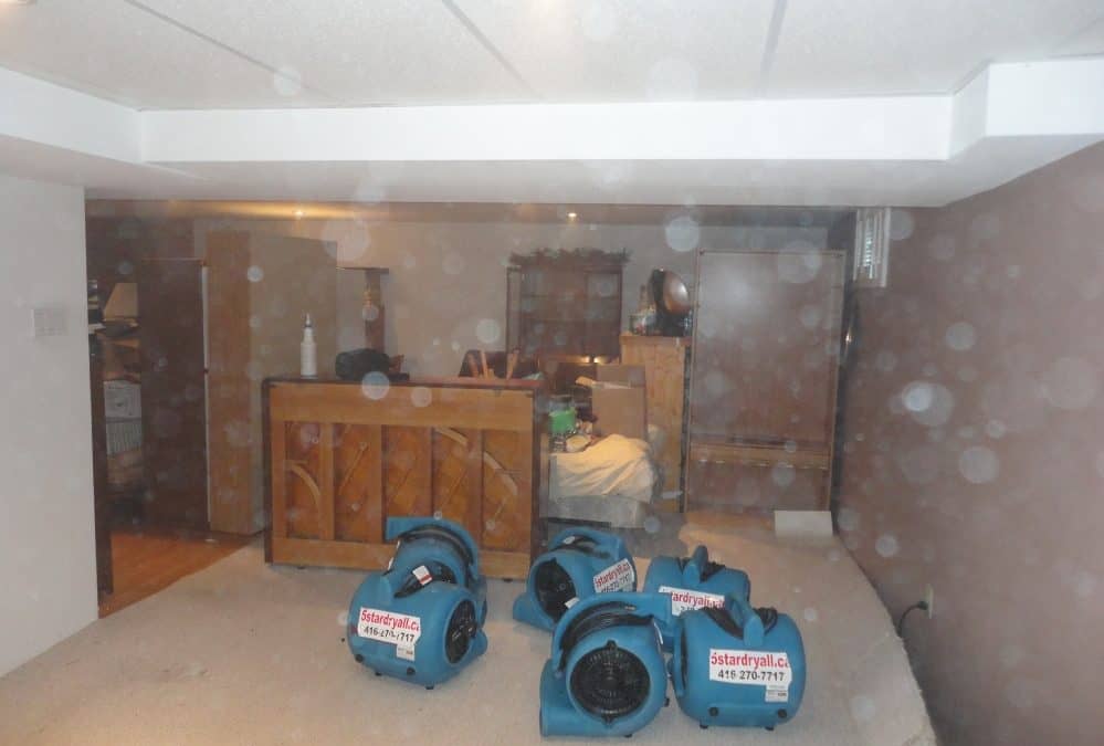 Water Damage Services For Sewage Backup