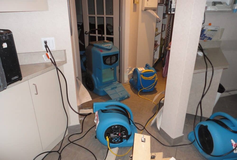 Common Causes of Home Sewage Back Ups.